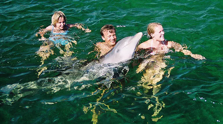 Schwimmen mit Delfinen bei Kuba