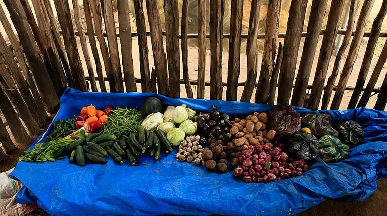 Gesundes Essen in der Campingküche in Jinka - Äthiopien.