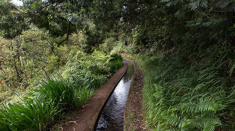Wasserlauf der Levada do Rei