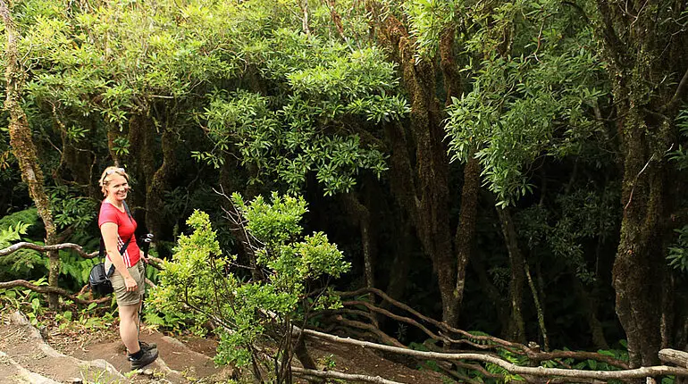 Lavahöhle unterhalb des Cabeco Verde auf Faial