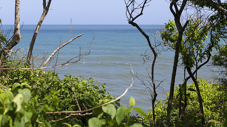 Das Meer ist in Sicht - Tayrona Nationalpark