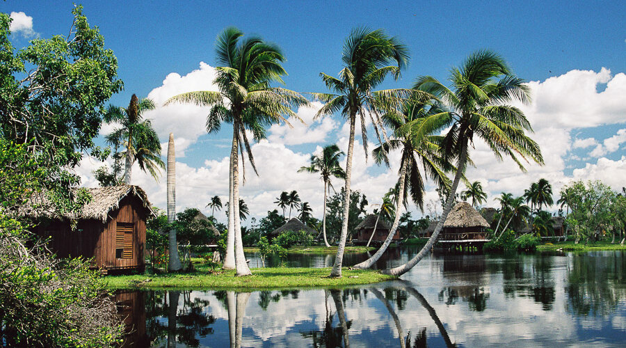 Palmen und Indianerdorf im Süden von Kuba