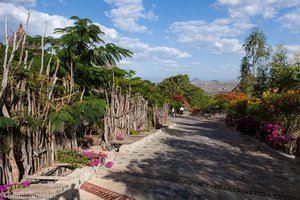 Blumiger Weg in der Kanata Lodge bei Konso - Äthiopien
