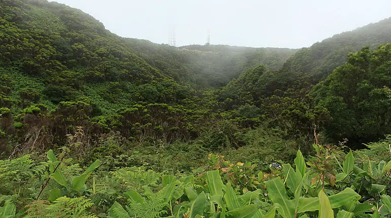 Blick in den Krater des Cabeco Verde