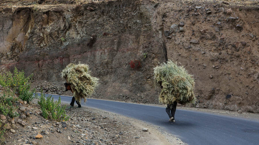 äthiopische Bauern tragen die schwere Ernte nach Hause