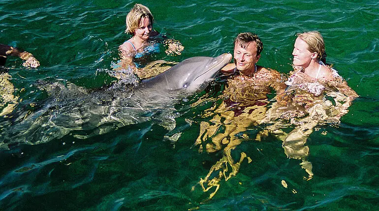 Anne und Lars beim Schwimmen mit Delfinen