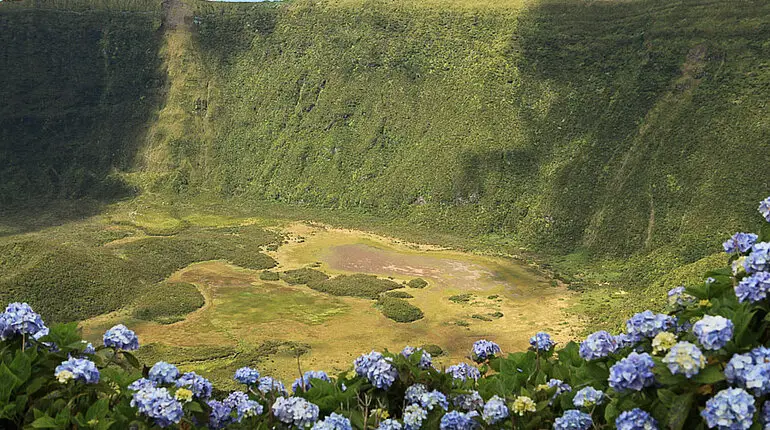 Blick über Hortensien in die große Caldeira von Faial
