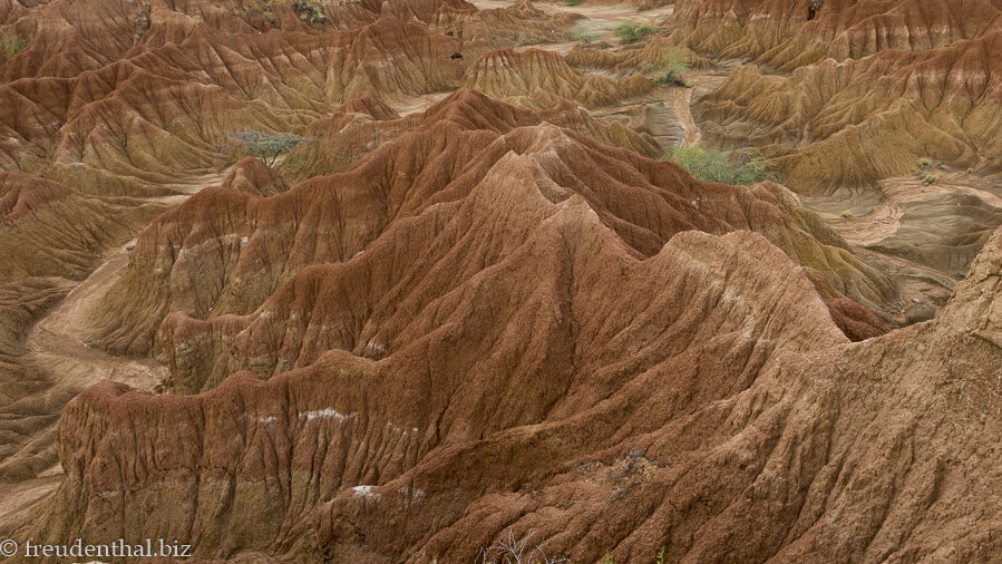Die Tatacoa-Wüste in Kolumbien.